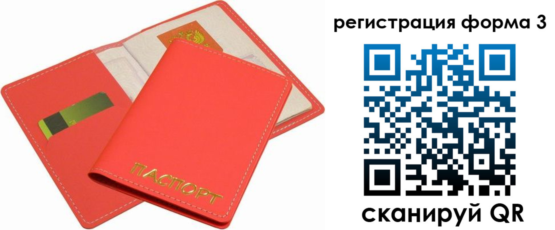 прописка для школы в Кудрово
